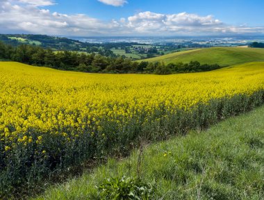 Birleşik Krallık 'ta Doğu Yorkshire Kurtları' nda bahar mevsimi
