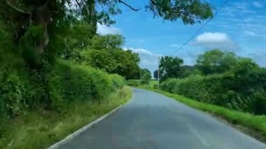 İngiltere 'nin kuzeydoğusundaki Kuzey Yorkshire' da Malton yakınlarında bir kır şeridi boyunca araba sürüyorum.