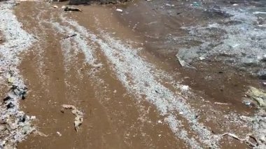 Kıbrıs 'ta bir plajda mikroplastikler ve diğer çöpler kıyıya vuruyor