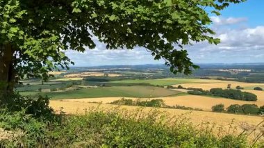İngiltere 'nin kuzeydoğusundaki Kuzey Yorkshire' daki Malton pazar kasabası yakınlarındaki tarım arazisi manzarası