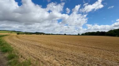 İngiltere 'nin kuzeydoğusundaki Kuzey Yorkshire' daki pazar kasabası Malton yakınlarındaki tarım arazisi..