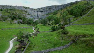 İngiltere 'nin kuzeyindeki Kuzey Yorkshire Dales' deki Malham Koyu 'nun havadan görüntüsü. Malham Koyu, 12.000 yıldan uzun bir süre önce buzul çağından eriyen suyu taşıyan bir şelalenin oluşturduğu büyük kıvrımlı bir kireçtaşı oluşumudur..