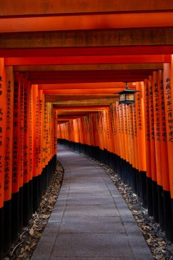 İnari shimi ii, kyoto, japan kırmızı kapılar