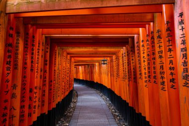 kyoto - japan - Kasım 2 0 0 0 0 0 17: torii gates at shimi inari sha