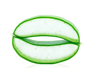 aloe vera taze yaprak beyaz arka plan üzerinde izole
