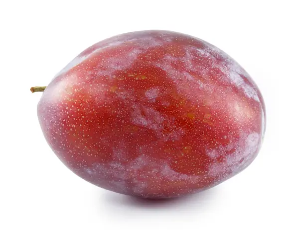 İzole erikler. Beyaz arka planda yaprak ile bir buçuk kırmızı erik meyvesi.