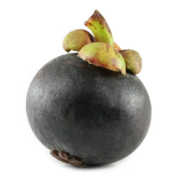 beyaz zemin üzerinde tek mangosteen