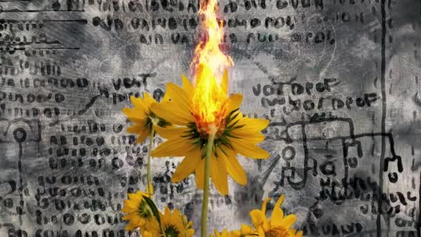 Streszczenie Kompozycji Palenie Żółtych Kwiatów Tle Starożytnych Symboli — Wideo stockowe