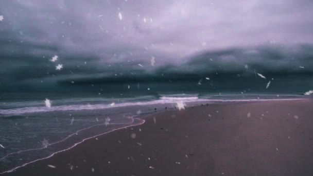 Racci Písečném Pobřeží Oceánu Animované Video — Stock video