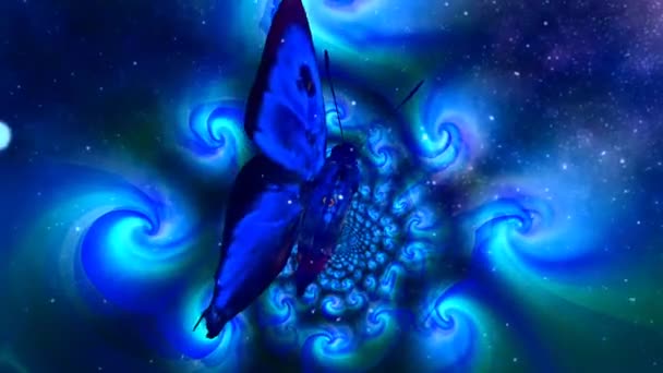 Butterfly Abstract Fractal Space Rendering — Stock Video