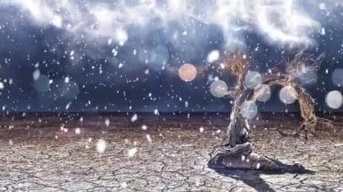 Tree in desert. Snow and lights