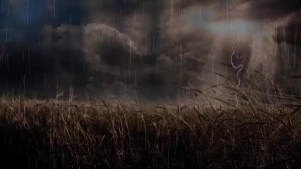 Сільський Пейзаж Буря Над Полем Анімовані Відео — стокове відео