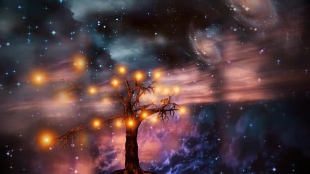 Baum Des Lichts Und Sterne Blauen Himmel Animiertes Video — Stockvideo