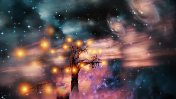 Tree Light Animated Video — Stock Video