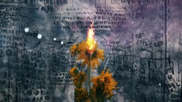 Abstracte Samenstelling Gele Bloemen Branden Oude Symbolen Achtergrond Geanimeerde Video — Stockvideo