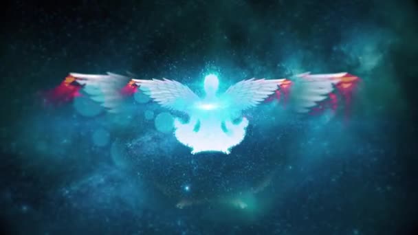 Křídla Světla Animované Video — Stock video