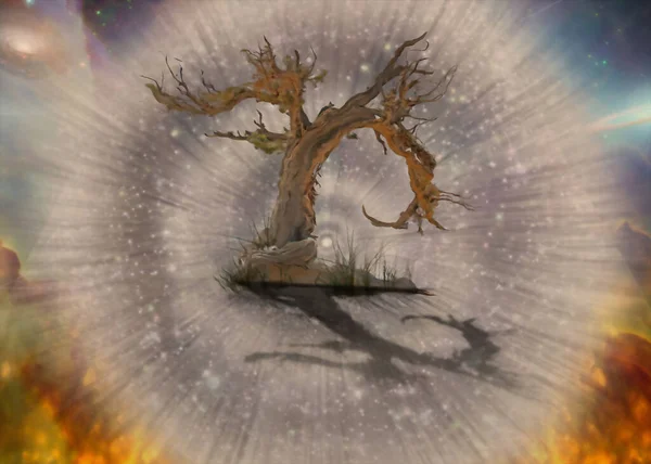 Stare Drzewo Kosmosie Nowoczesna Sztuka — Zdjęcie stockowe