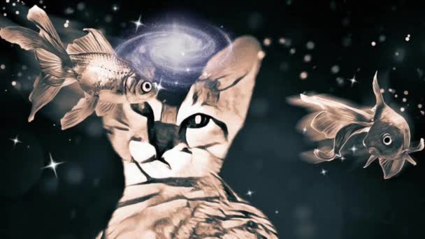 Kociak Złota Rybka Animowane Wideo — Wideo stockowe