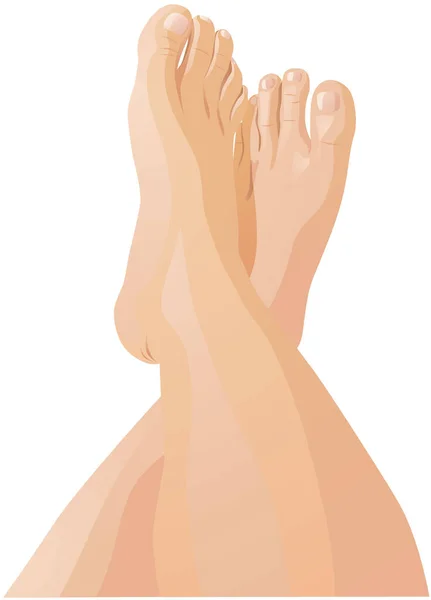 Illustration Vectorielle Dessinée Main Une Femme — Image vectorielle