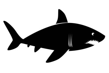 köpek balığı resmi