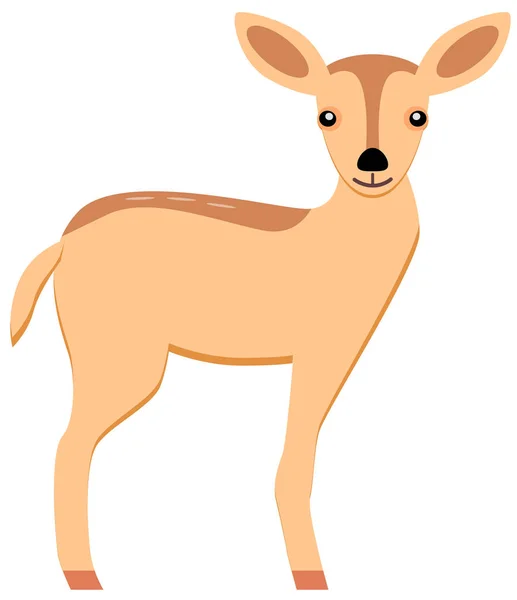 Wild Animal Deer Cartoon Vector Illustration Graphic Design — Stock Vector