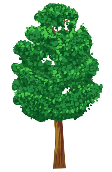 Grönt Träd Med Blad Isolerade Vit Bakgrund — Stock vektor