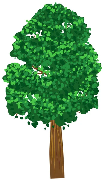 Illustration Ett Träd Med Grön Bakgrund — Stock vektor
