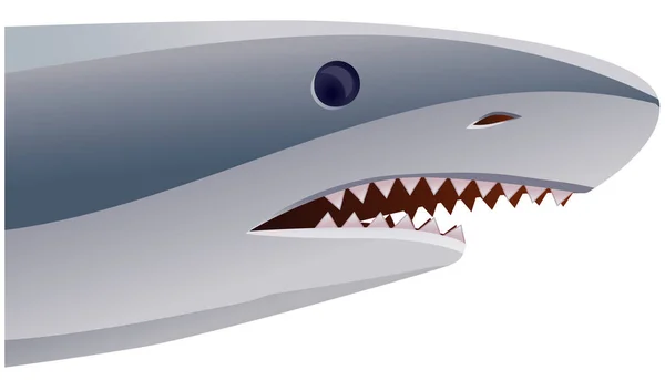 带着微笑的鲨鱼的图片 — 图库矢量图片