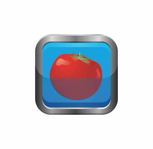 Tomato Button Icon Vector Illustration — Stock Vector