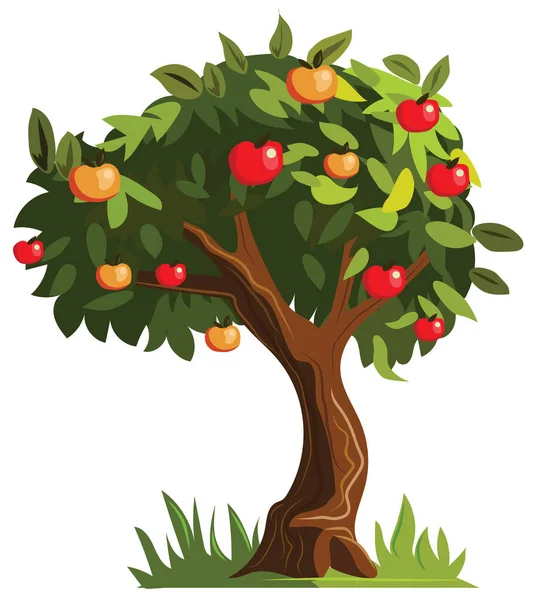 Äppelträd Med Mogen Frukt Vektor Ikon — Stock vektor