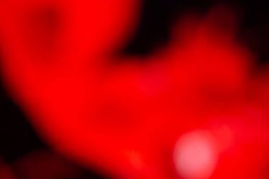 Artistic blurry colorful wallpaper background