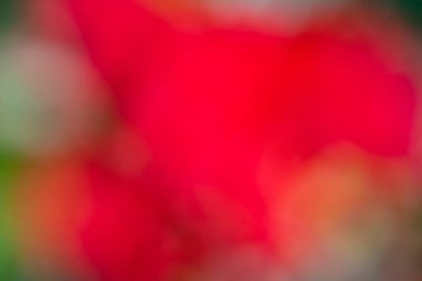 Artistic blurry colorful wallpaper background