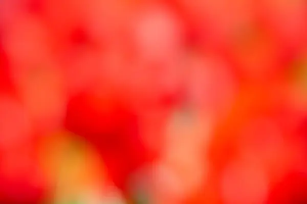 Artistic Blurry Colorful Wallpaper Background — 图库照片