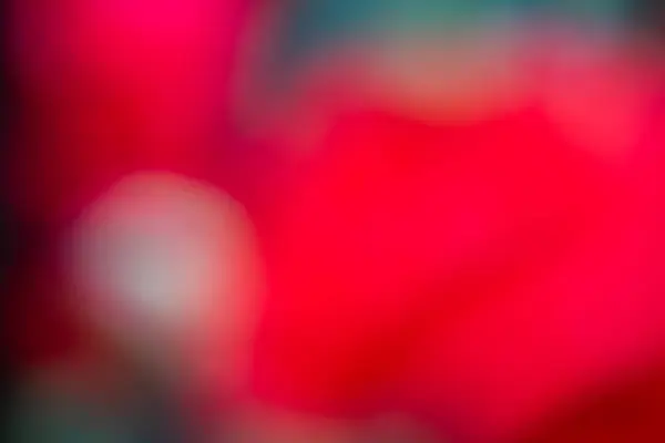 Artistic Blurry Colorful Wallpaper Background — Stock fotografie