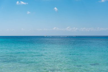 güneşli bir plaj tropikal