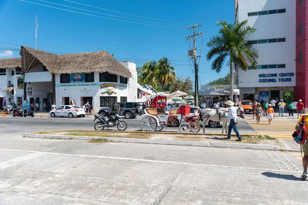 Cozumel - Quintana Roo Mexico 27 Şubat 2023 - Cozumel işareti