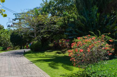 Mahogany Körfezi - Roatan Adası - Honduras Karayipleri 28 Şubat - 2023