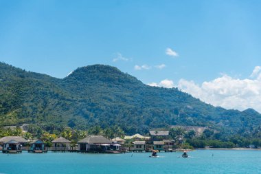 Plaj - Amber Koyu - Puerto Plata Eyaleti - Dominik Cumhuriyeti