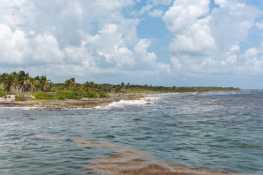 güneşli bir günde güzel tropikal plaj