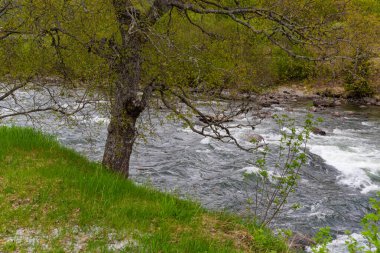 Skjolden - Norveç - 16 Mayıs 2023 - Nehir