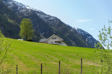 Skjolden - Norveç - 16 Mayıs 2023