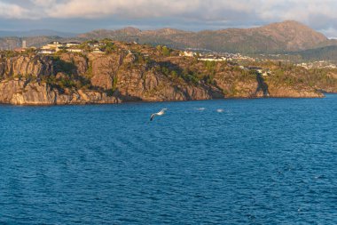 Deniz dalgalarının güzel fotoğrafı