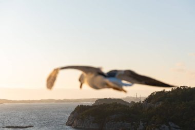 Deniz dalgalarının güzel fotoğrafı - Kuş uçuşu