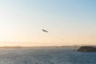 Deniz dalgalarının güzel fotoğrafı - Kuş uçuşu