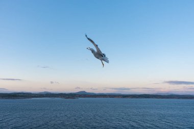 Deniz dalgalarının güzel fotoğrafı - Kuş uçuşu