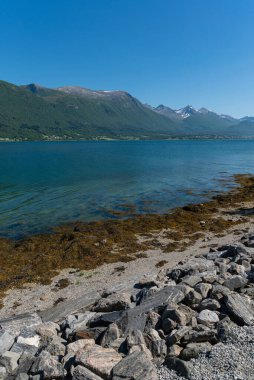 Andalsnes - Norveç - 26 Haziran 2023