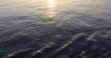 Gündüzleri deniz suyu dolaşımı 