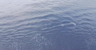 Gündüzleri deniz suyu dolaşımı 