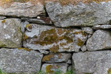Taş doku kalıbının fotoğrafı