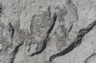 Taş doku kalıbının fotoğrafı